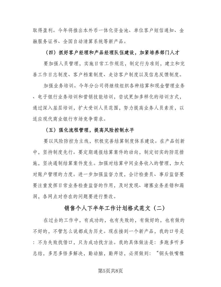 销售个人下半年工作计划格式范文（二篇）.doc_第5页