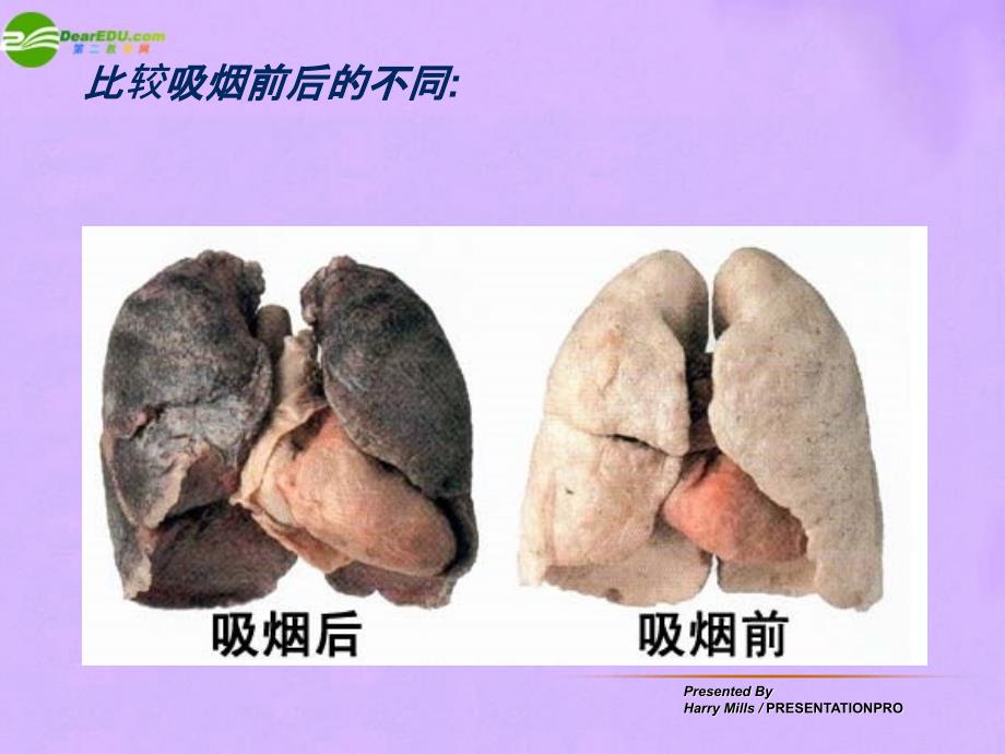 最新七年级生物下册第三章第一节呼吸课件冀教版课件_第4页