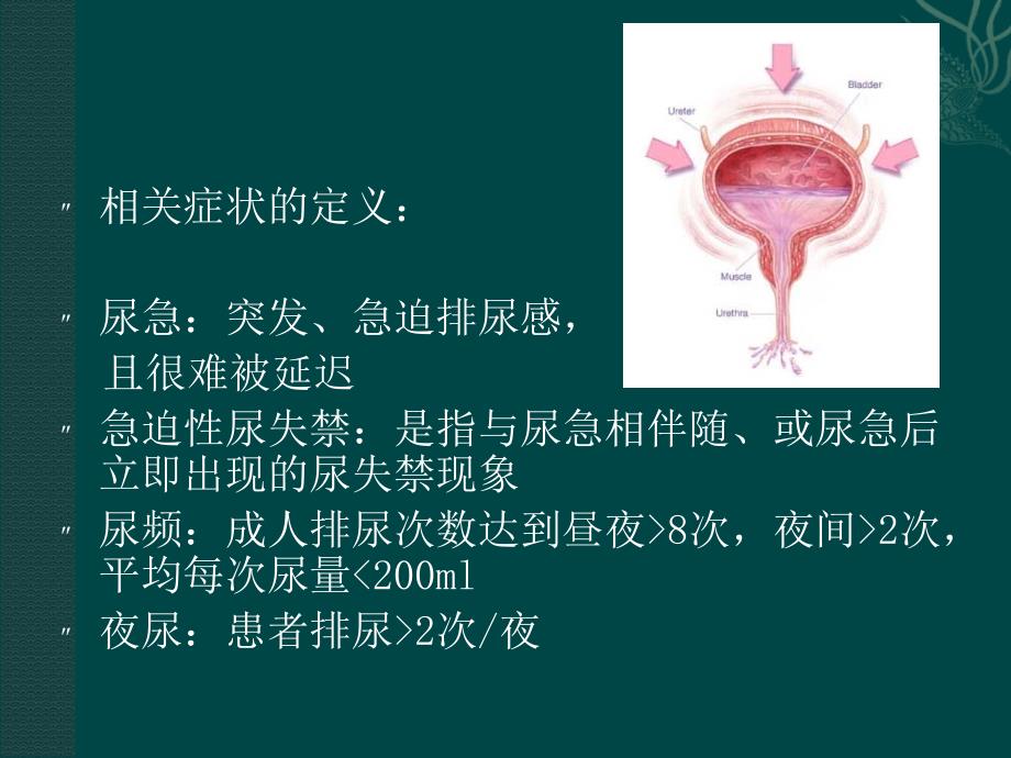 版膀胱过度活动症诊疗指南_第3页