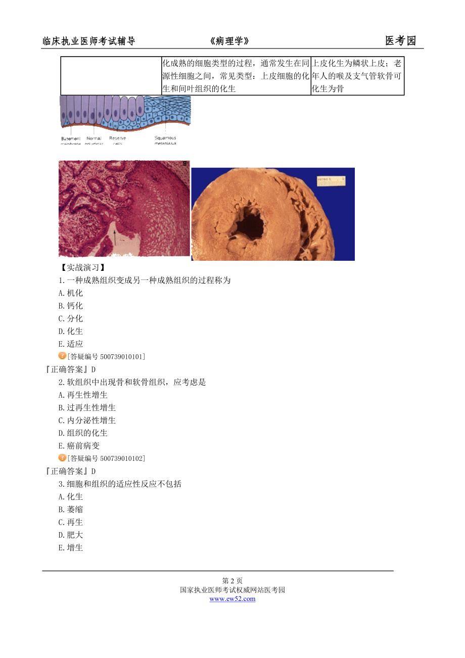 第一章 细胞、组织的适应、损伤和修复.doc_第2页