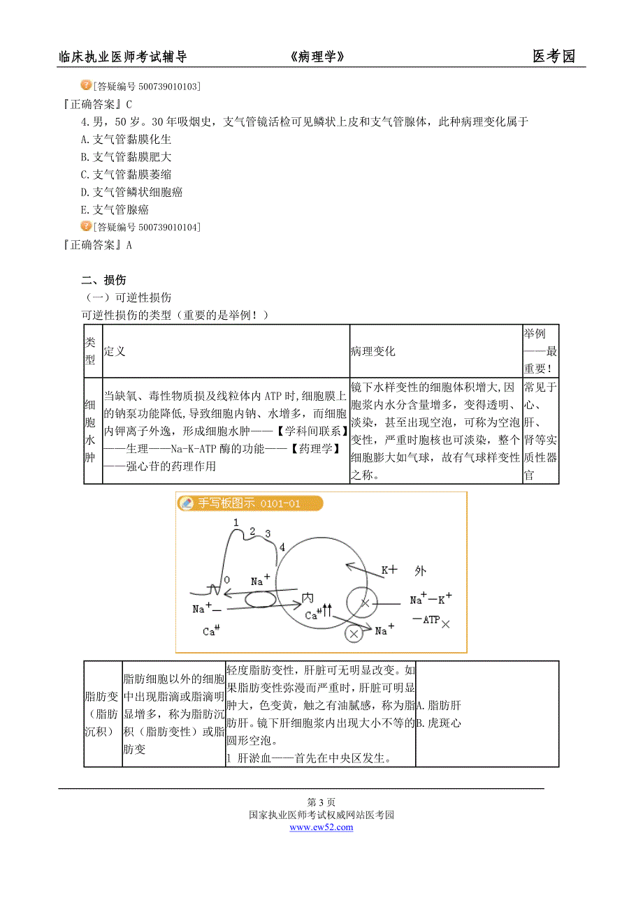 第一章 细胞、组织的适应、损伤和修复.doc_第3页