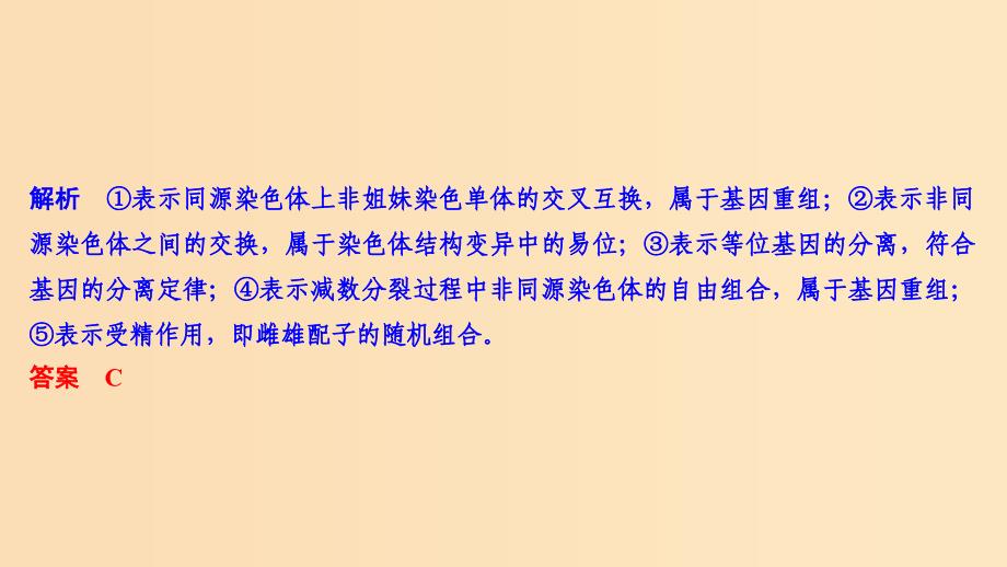 2019版高考生物总复习 第二部分 选择题必考五大专题 专题四 生物的变异与进化 第7讲 生物的变异课件.ppt_第4页