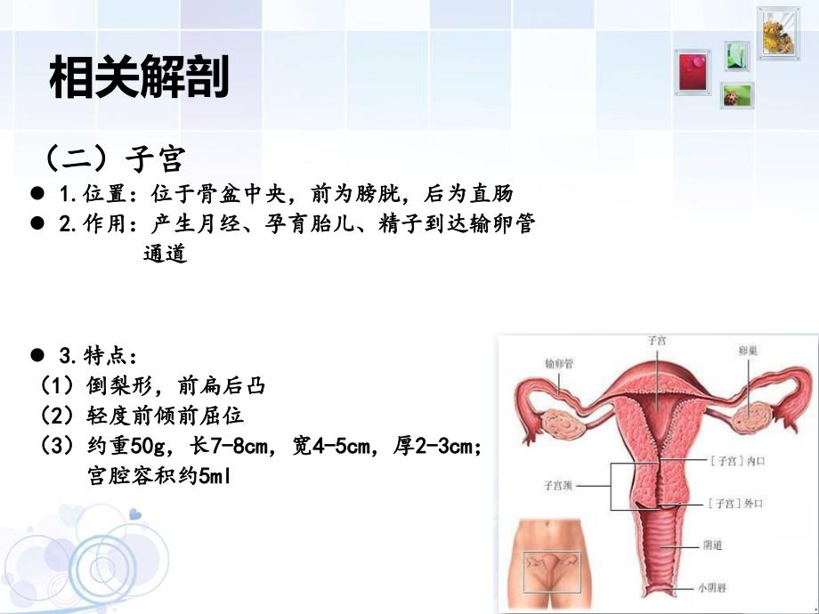 阴式子宫全切术PPT课件.ppt_第3页