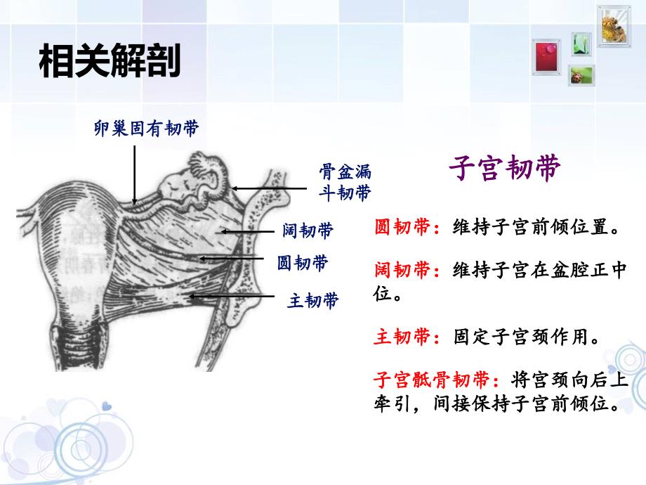 阴式子宫全切术PPT课件.ppt_第4页