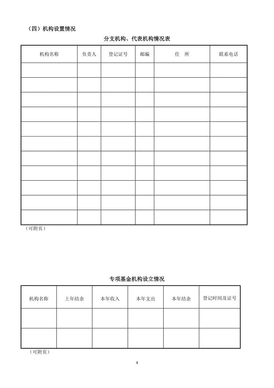 社会团体检查报告书_第5页