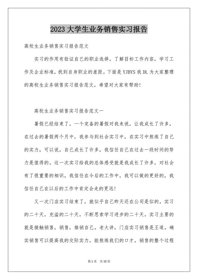 2023年大学生业务销售实习报告.docx