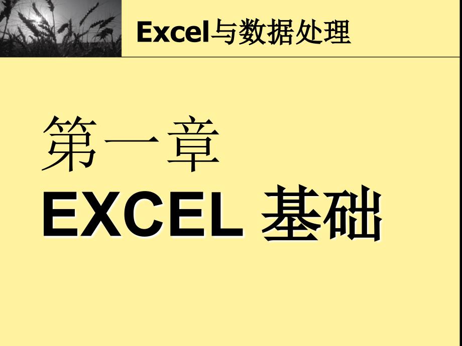 Excel2007数据处理_第1页