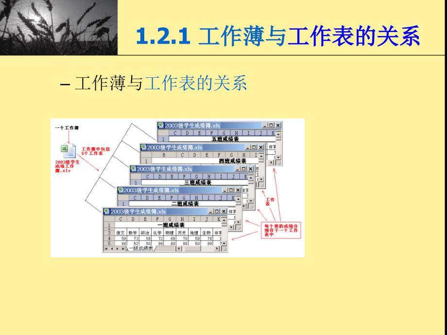 Excel2007数据处理_第5页