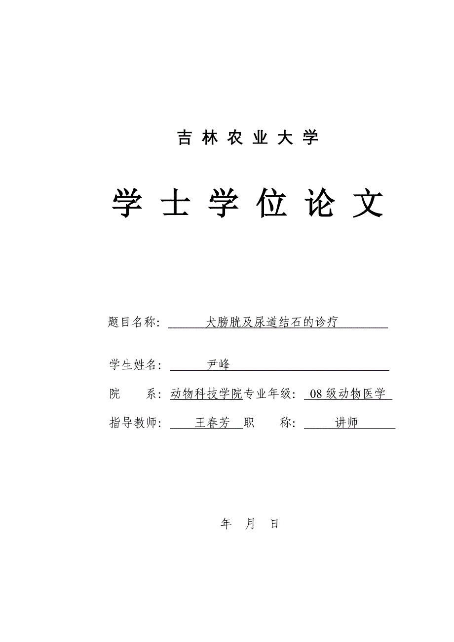 结石的诊疗毕业论文_第1页