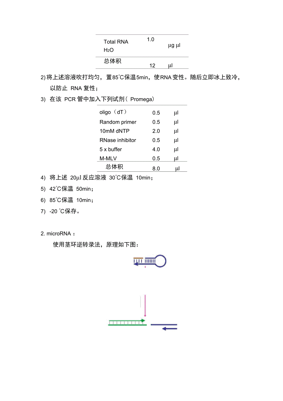 qPCR实验操作流程_第4页