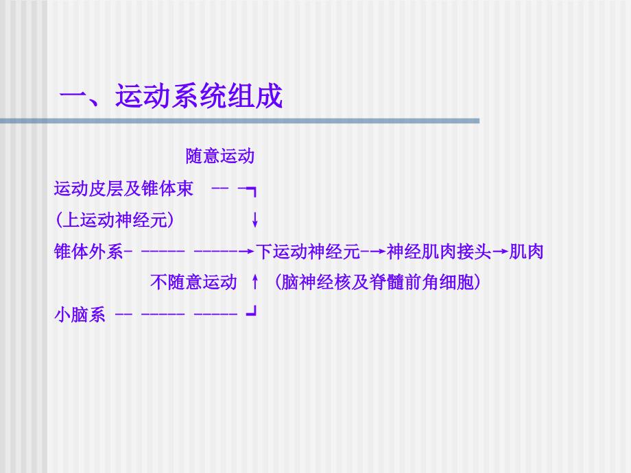 运动系统定位诊断进修生_第4页