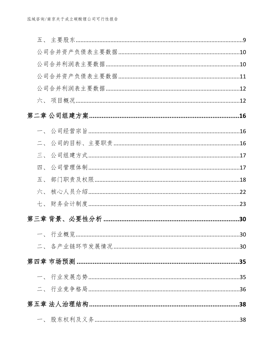 南京关于成立碳酸锂公司可行性报告_第4页