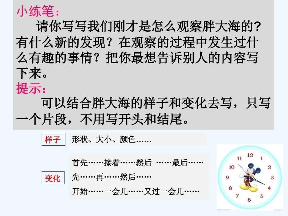 语文人教版四年级上册观察中的发现_第5页