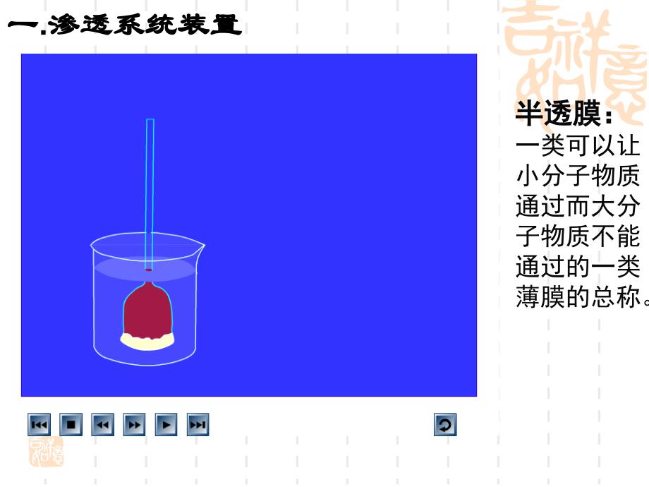 41物质跨膜运输实例课件_第4页