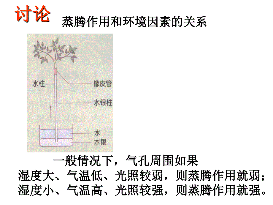 叶的蒸腾作用和结构_第4页