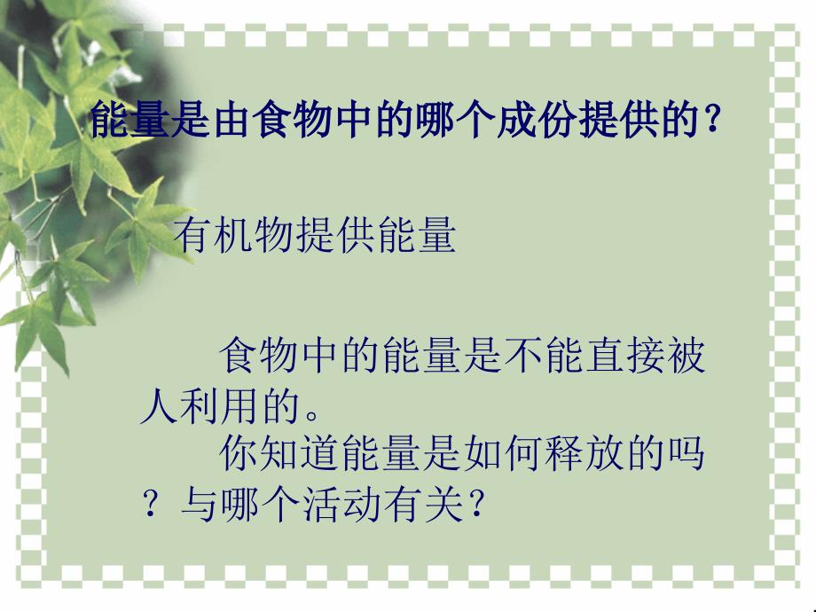 医学课件第6章能量与呼吸_第3页