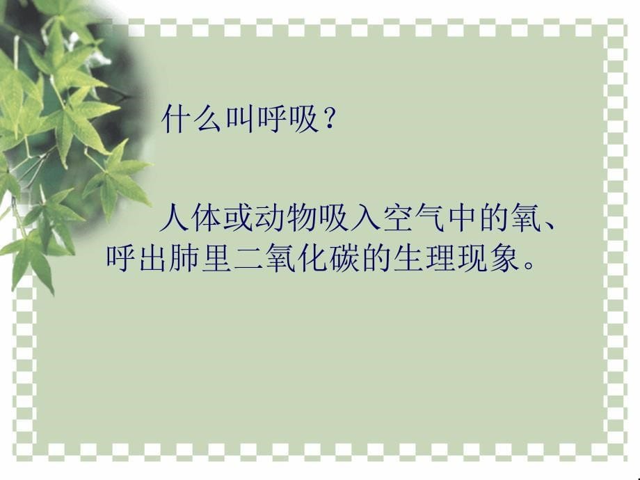 医学课件第6章能量与呼吸_第5页