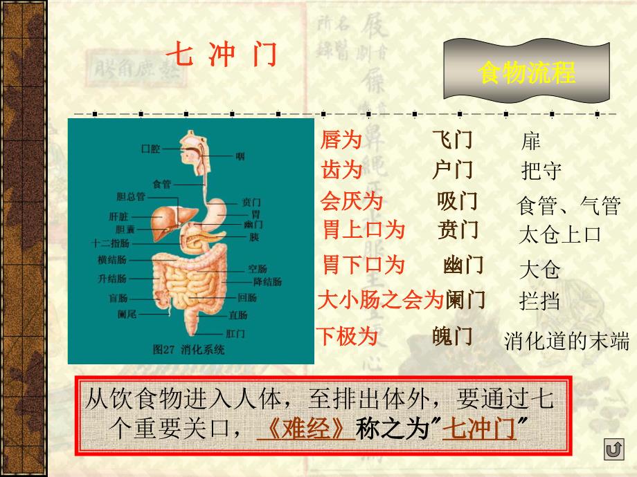 藏象六腑课件_第3页