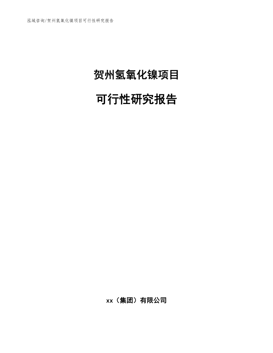 贺州氢氧化镍项目可行性研究报告_模板范文_第1页