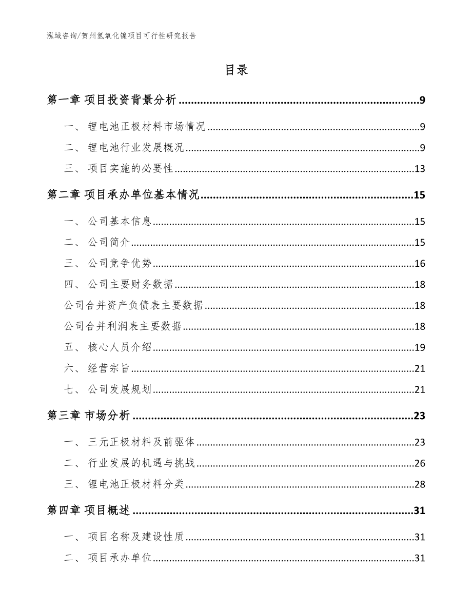贺州氢氧化镍项目可行性研究报告_模板范文_第2页