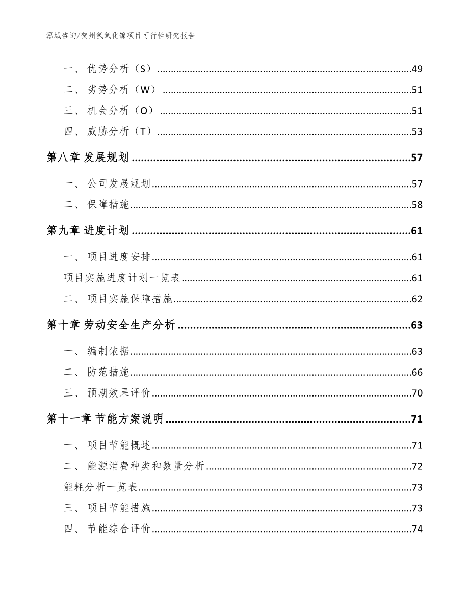 贺州氢氧化镍项目可行性研究报告_模板范文_第4页