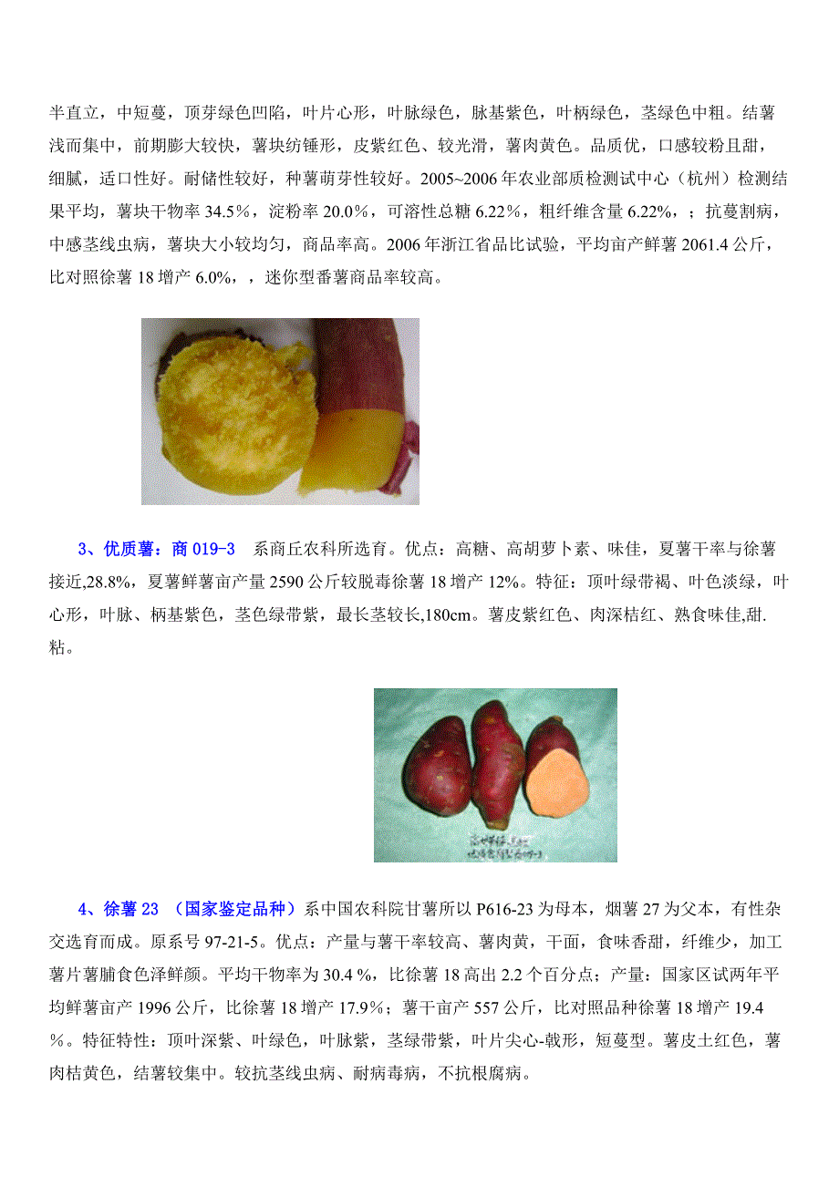 甘薯鲜食及食品加工用名优品种.doc_第3页