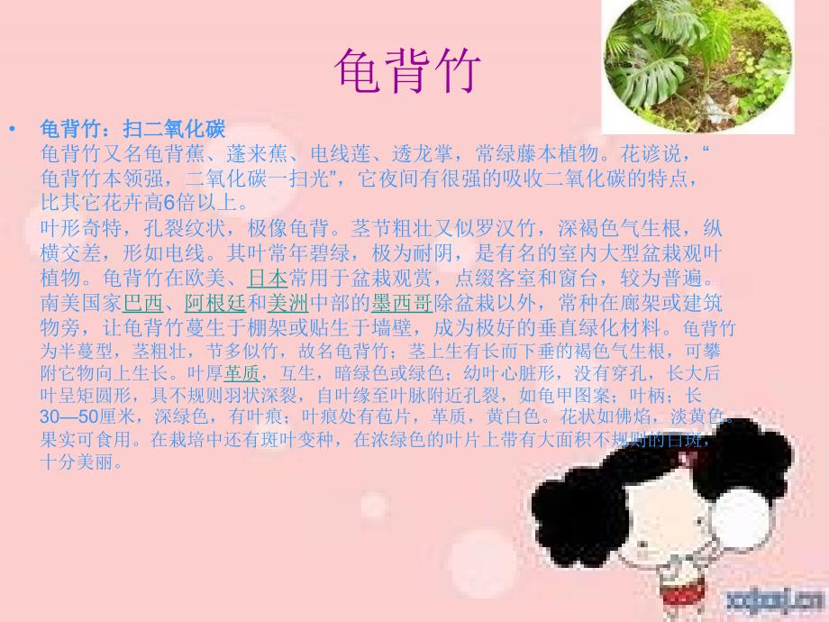 适合在室内种植的花.ppt_第3页