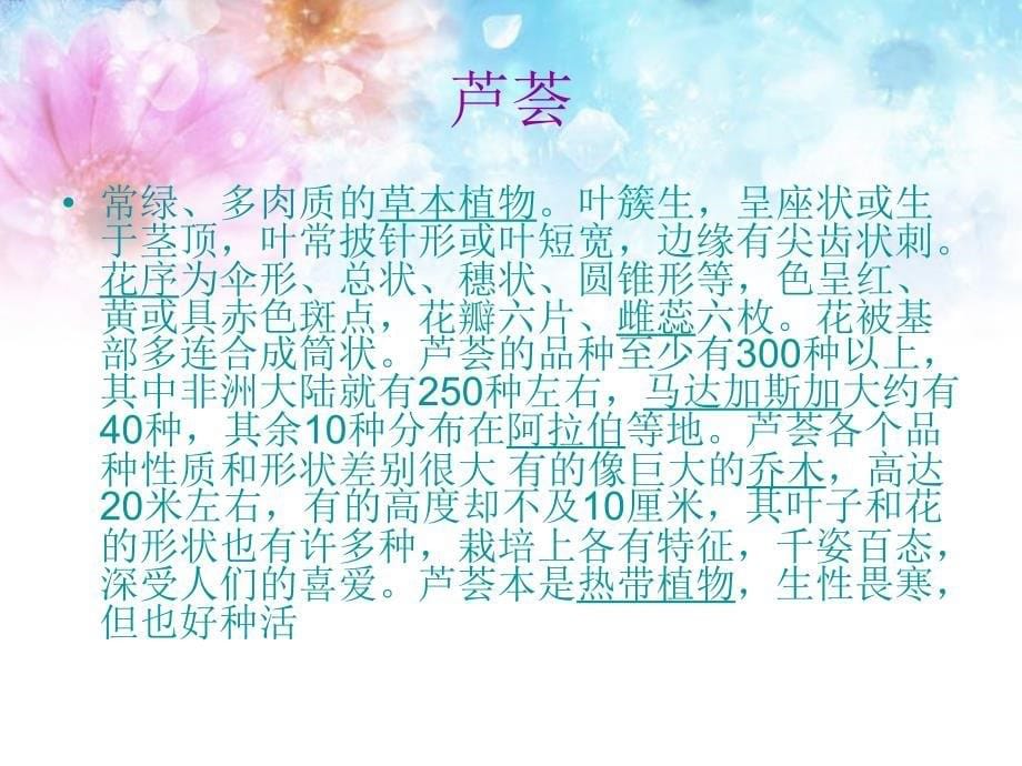 适合在室内种植的花.ppt_第5页