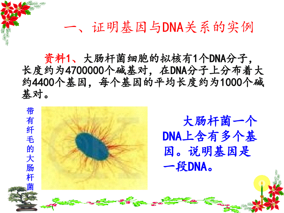 人教版教学课件高中生物学精品课件基因是有遗传效应的DNA片段_第3页