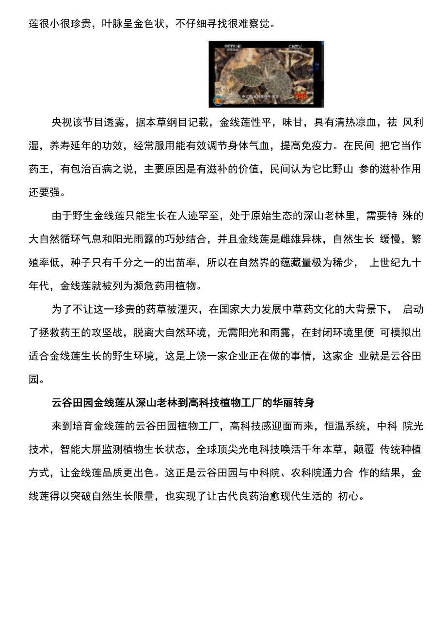 从央视镜头下的深山老林到云谷田园植物工厂 金线莲的华丽蜕变_第2页