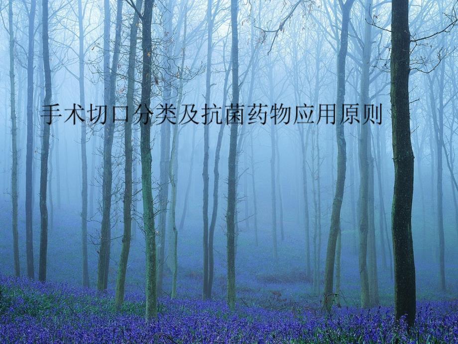 手术切口分类及抗_第1页