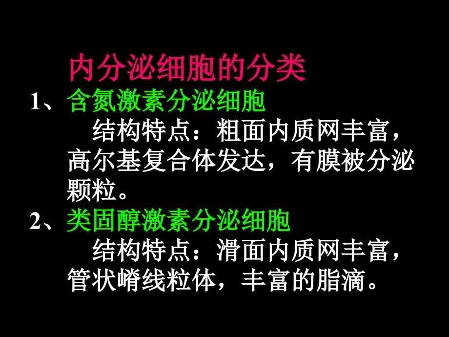 组织学与胚胎学课件：内分泌系统_第5页