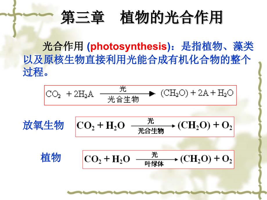 植物生物化学：第三章 植物的光合作用_第3页