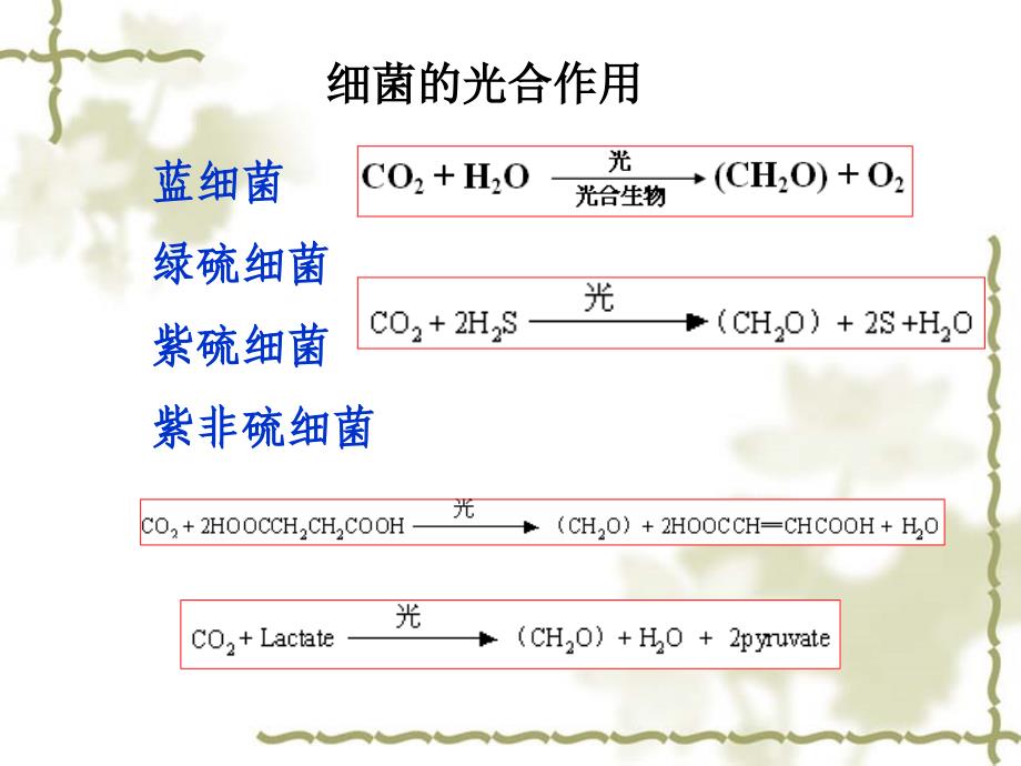 植物生物化学：第三章 植物的光合作用_第4页