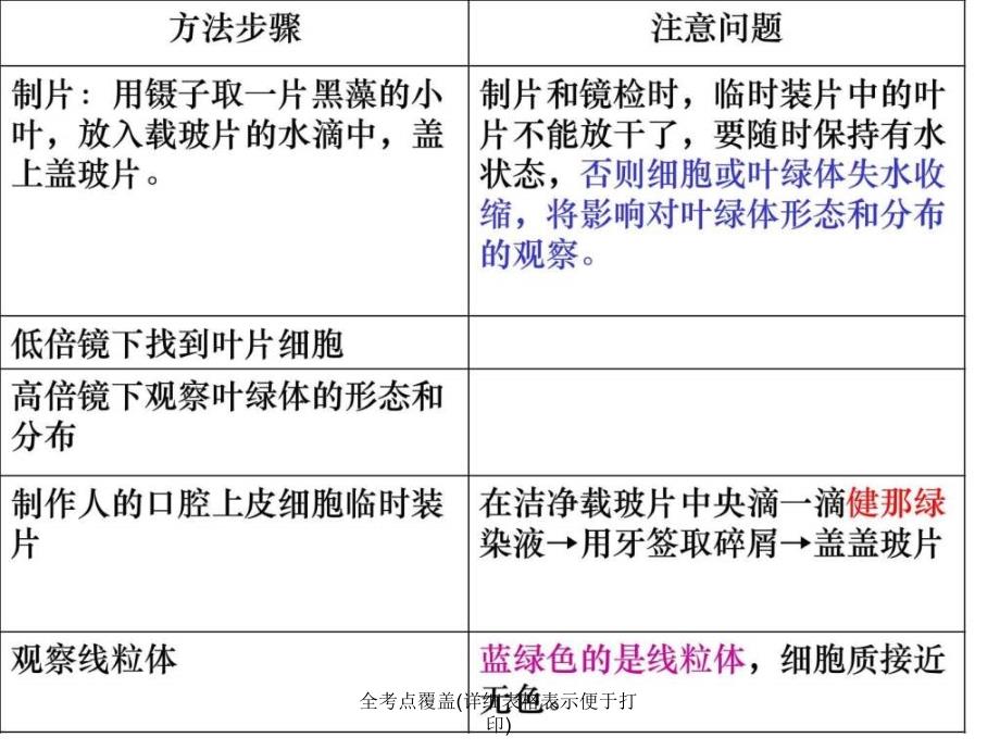 全考点覆盖详细表格表示便于打印课件_第1页