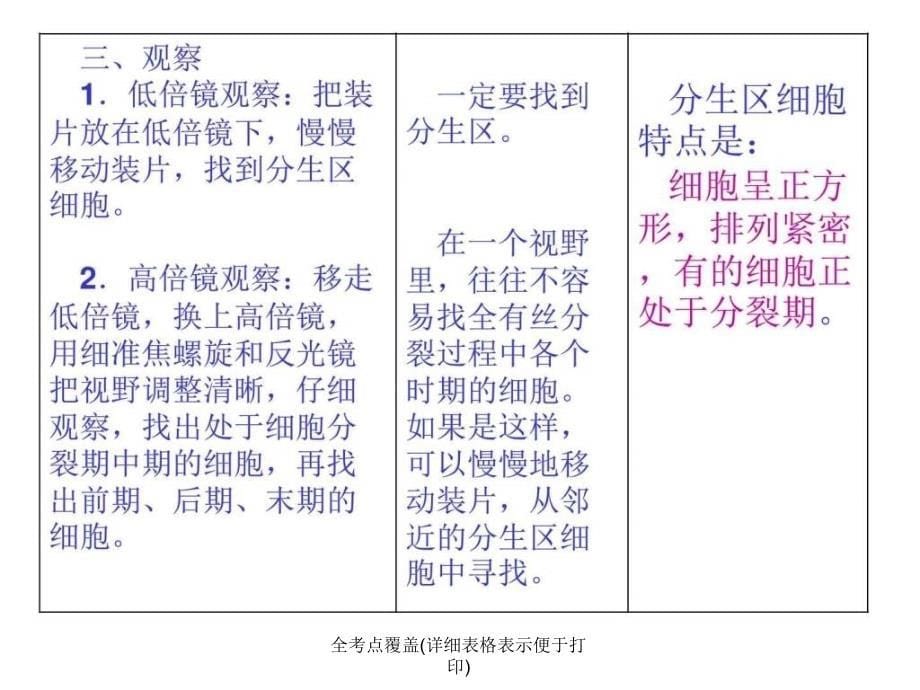 全考点覆盖详细表格表示便于打印课件_第5页