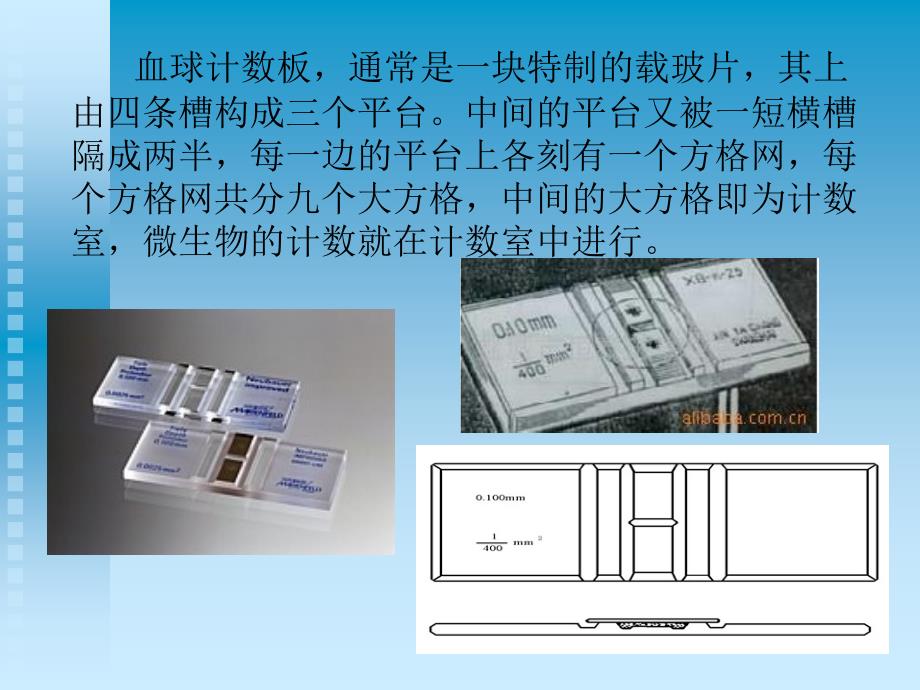 血球计数板的使用课件_第4页