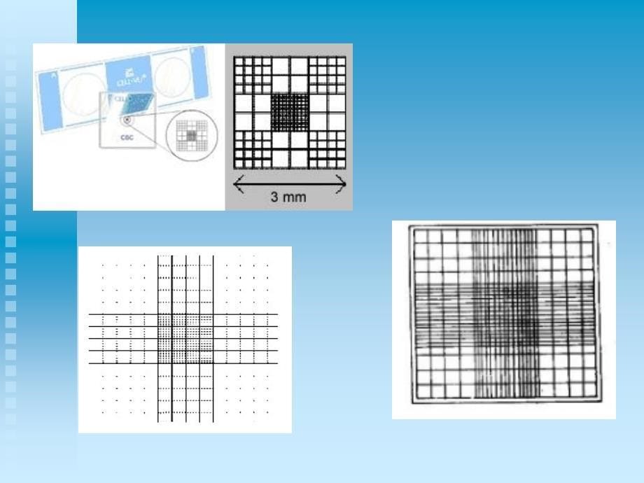 血球计数板的使用课件_第5页