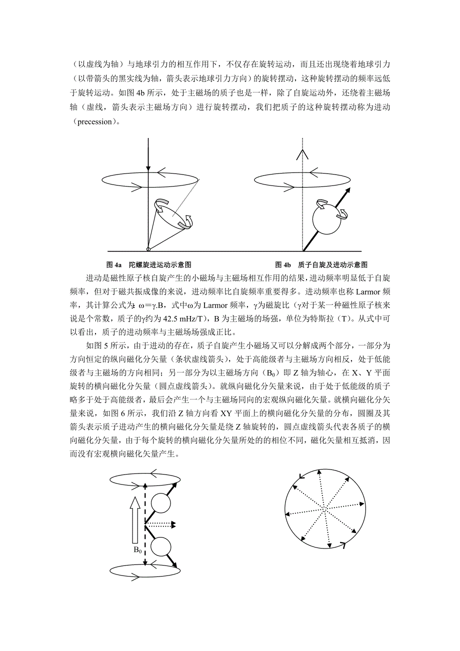 第三节进入主磁场前后人体内质子核磁.doc_第2页