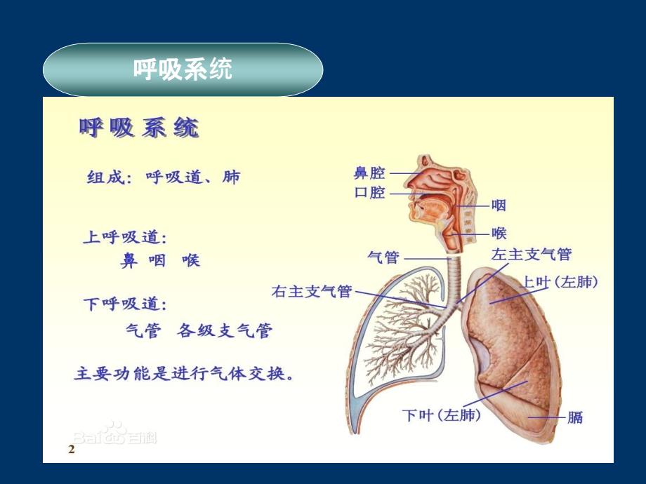 排痰机简介临床版课件_第4页