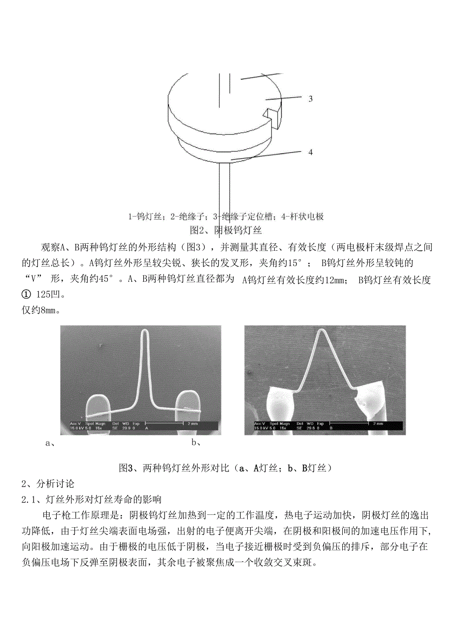 两种扫描电镜阴极钨灯丝的使用对比_第2页