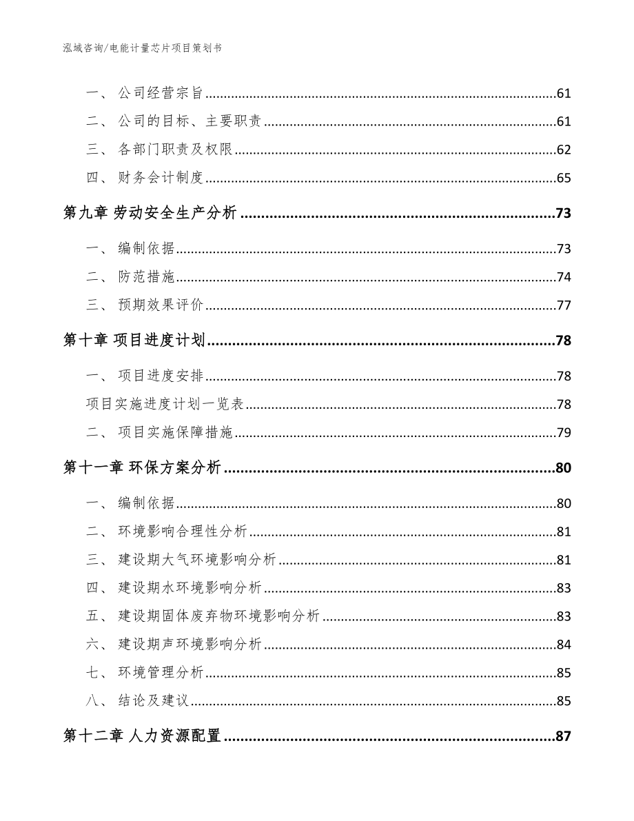 电能计量芯片项目策划书_第3页