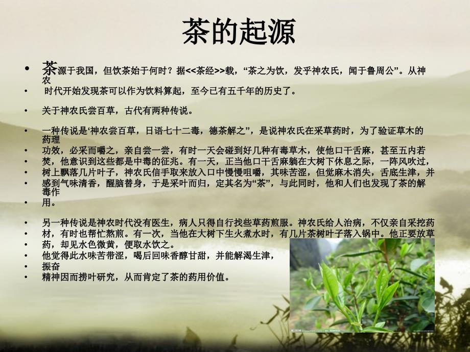 茶吧小站设计_第3页