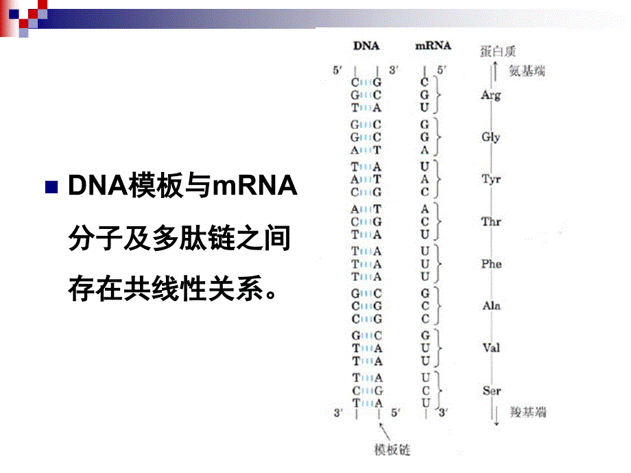 中医药研究常用分子生物学技术_第2页