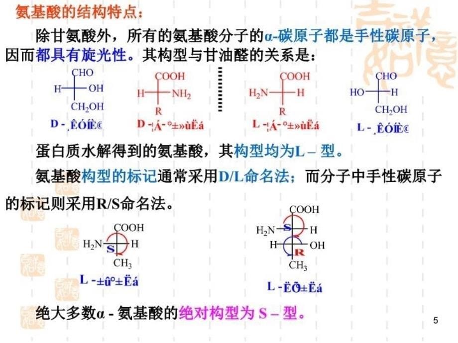 最新十九章氨基酸蛋白质ppt课件_第5页