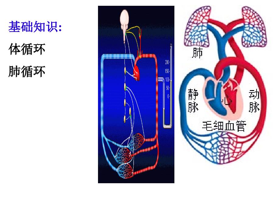 第二章血液和体液循环障碍课件_第2页