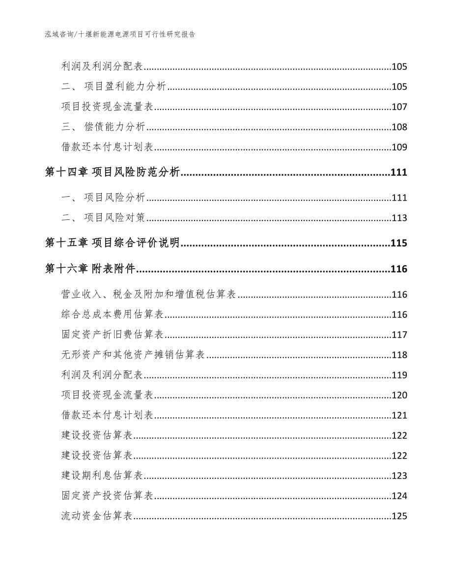 十堰新能源电源项目可行性研究报告_模板_第5页