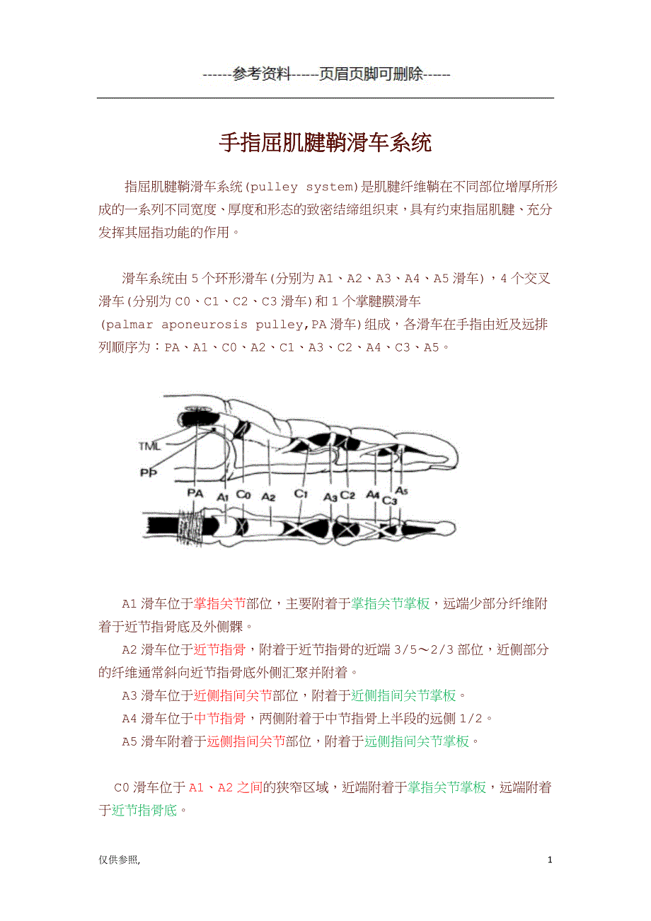 手指屈肌腱鞘滑车系统[借鉴仅供]_第1页