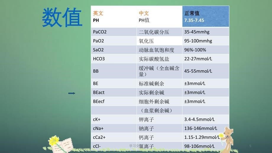 动脉血气分析的采集方法和注意事项护理课件_第5页