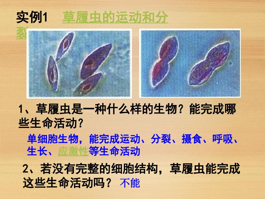 《从生物圈到细胞》课件（2）_第4页